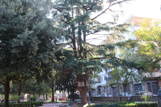 Parco Aniante